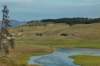 yellowstonenationalparkhaydenvalley2_small.jpg